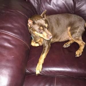 Meet your Posher, Gary